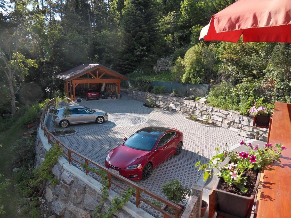 Fewo In Der Weinleiten Millstatt Exterior photo